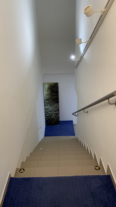 Vstupná hala 1 Vstupná hala 1